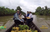 Chuyến đi màu xanh: Về Cà Mau trải nghiệm trồng chuối ép khô