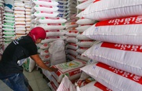 Xuất khẩu gạo của Campuchia tăng mạnh trong 2 tháng đầu năm 2020