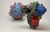 Vật liệu in 3D đầu tiên trên thế giới có thể tiêu diệt virus SARS-CoV-2 trên bề mặt