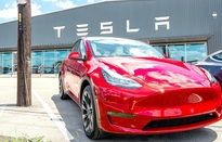 Mexico triệu hồi hơn 4.000 xe điện Tesla vì lỗi phần mềm