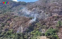 Nỗ lực dập tắt cháy rừng trên núi Cô Tô