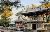 Độc đáo chuyến tàu nối liền 88 ngôi đền tại Nhật Bản