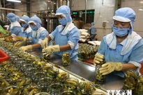 Vietnamese exporters still not take advantage of trade deals