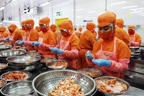 Seafood exports to be upbeat by year’s end