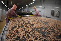 Shrimp producers, exporters earn big from deep processing