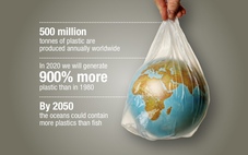 Thế giới  tăng tốc trong cuộc chiến chống rác thải nhựa