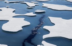 Băng tan khiến Bắc Băng Dương axit hóa nhanh hơn