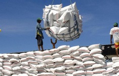 Ấn Độ xuất khẩu gạo trở lại