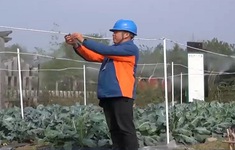 Cải cách ruộng đất bằng công nghệ 5G tại Trung Quốc