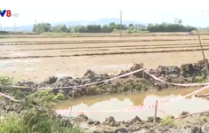 Bình Định: Một cháu bé tử vong do trượt chân xuống hố nước công trình