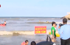 Thanh Hóa: Nhiều người dân thản nhiên tắm biển ở khu vực nguy hiểm