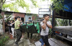 Cứu hộ thành công 7 cá thể gấu ngựa tại một trang trại ở Hà Nội