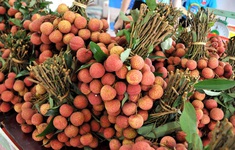 Mở cửa thị trường cho nông sản Việt: Phải đi cùng chất lượng