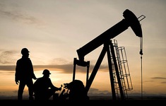 Giá dầu lao xuống mức thấp nhất 8 tháng