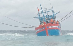 Cứu hộ tàu cá Bình Định mắc cạn tại Trường Sa