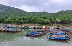 Ứng phó bão số 4, Quảng Nam sơ tán hơn 133.000 dân