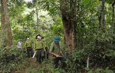 Ngày Quốc tế về rừng: Rừng và Sức khỏe