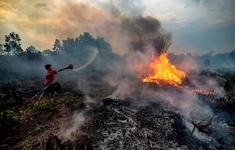 Malaysia ô nhiễm do cháy rừng tại Indonesia