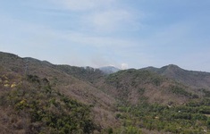 Bà Rịa - Vũng Tàu: Kịp thời khống chế vụ cháy rừng trên núi Dinh