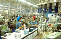 OECD: Việt Nam sẽ tiếp tục dẫn đầu top 5 nền kinh tế tăng trưởng nhanh nhất Đông Nam Á