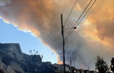 Canada: Cháy rừng nghiêm trọng ở Halifax, hàng nghìn hộ gia đình phải sơ tán