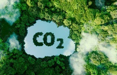 Xu hướng sản xuất trung hòa carbon