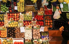 Hạn hán đẩy giá lương thực ở Tây Ban Nha tăng cao