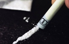 Thủ đô Thụy Sĩ bỏ phiếu về hợp pháp hóa cocaine