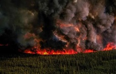 Canada đối mặt với thảm họa cháy rừng chưa từng có
