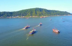 Nghệ An: Ngư dân phấn khởi vươn khơi đầu năm