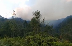 Cơ bản dập tắt cháy rừng tại Lào Cai, thiệt hại hơn 31 ha rừng