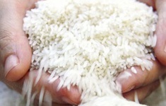 Gạo Việt vẫn có nhiều cơ hội chiếm lĩnh thị trường