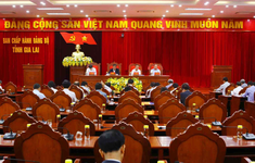 Kỷ luật cảnh cáo nguyên Phó Chủ tịch tỉnh Gia Lai Phùng Ngọc Mỹ