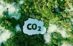 Doanh nghiệp nỗ lực trung hòa carbon