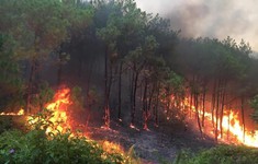 Khống chế thành công vụ cháy rừng ở Nghệ An