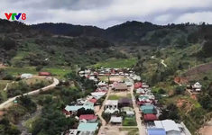 Quảng Nam: Tái định cư cho gần 8 ngàn hộ dân miền núi