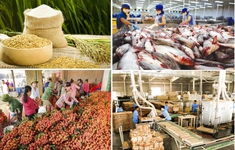 Nông sản Việt khai thác thị trường xuất khẩu mới