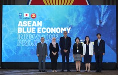 ASEAN, Nhật Bản và UNDP công bố dự án đổi mới kinh tế xanh