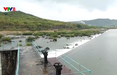 Phú Yên mở nước đập Đồng Cam sản xuất vụ Hè-Thu năm 2024