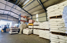 Xuất khẩu gạo sang Philippines tăng mạnh