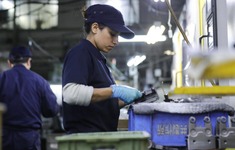 Dự luật sửa đổi về hệ thống lao động nước ngoài tại Nhật Bản