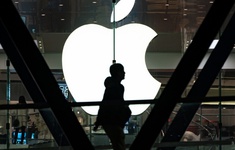 Apple dự kiến báo cáo doanh thu sụt giảm kỷ lục
