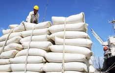 Việt Nam sẽ đảm bảo xuất khẩu hơn 8 triệu tấn gạo trong năm 2024