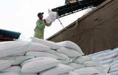 Giá gạo xuất khẩu tiếp tục tăng