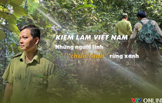 Kiểm lâm Việt Nam: Những người lính thầm lặng “chữa lành” rừng xanh