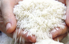 Nhiều dư địa cho gạo Việt Nam xuất khẩu vào EU