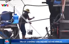 Tàu cá "3 không" cản trở gỡ thẻ vàng EC của ngành thủy sản Việt Nam