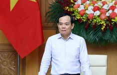 Phó Thủ tướng Trần Lưu Quang là Chủ tịch Hội đồng thẩm định Quy hoạch Lâm nghiệp quốc gia