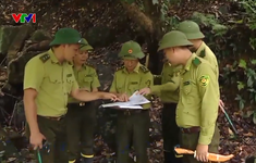 Nâng cao hiệu quả giữ rừng của kiểm lâm Việt Nam