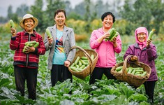 Liên hợp quốc thông qua Năm quốc tế Phụ nữ làm nông nghiệp